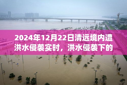 洪水侵襲下的清遠(yuǎn)秘境，美食奇遇與實(shí)時(shí)報(bào)道