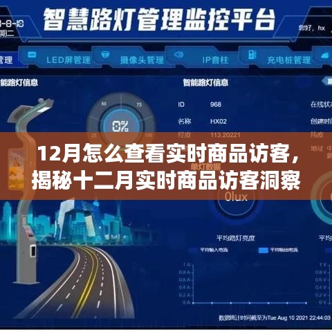揭秘十二月實時商品訪客洞察，洞悉訪客動態(tài)與商業(yè)進展的秘訣