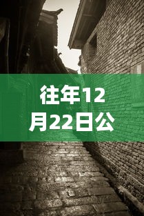 探秘寶藏店，公路云實(shí)時(shí)監(jiān)控軟件下載新體驗(yàn)，12月22日實(shí)時(shí)下載探秘小巷深處之旅