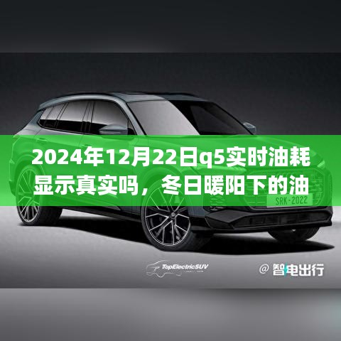 冬日暖陽下的真相探尋，2024年Q5實(shí)時油耗顯示的可信度與友情之旅