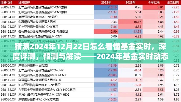 揭秘2024年基金實(shí)時(shí)動(dòng)態(tài)洞察系統(tǒng)，深度評(píng)測(cè)、預(yù)測(cè)與解讀的未來(lái)趨勢(shì)