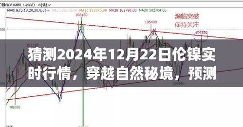 倫鎳行情預(yù)測(cè)與心靈之旅，穿越自然秘境，探索2024年倫鎳實(shí)時(shí)行情的奇妙交織