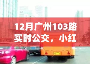 揭秘廣州公交新體驗，小紅書推薦下的廣州公交103路實時動態(tài)（12月版）