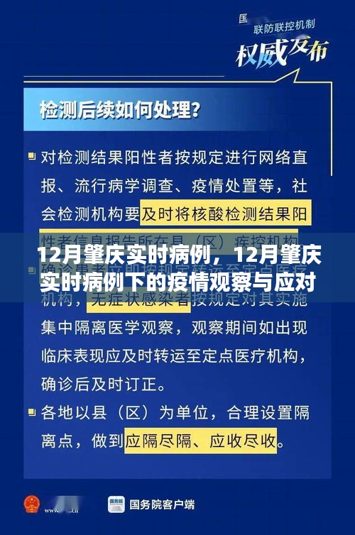 關(guān)于肇慶市實時病例的觀察與應(yīng)對策略之我見，疫情下的深度探討