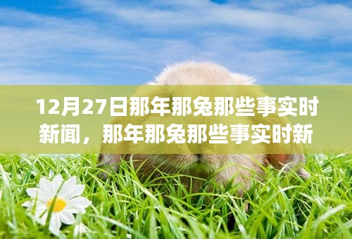 那年那兔時(shí)事新聞追蹤解讀指南，從初學(xué)者到進(jìn)階用戶(hù)的步驟指南