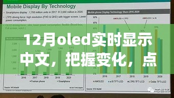 12月OLED中文實時顯示，把握變化，點亮未來——展現(xiàn)你的中文魅力