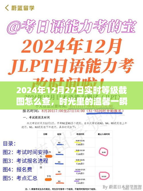 2024年12月27日等級截圖揭秘，時光溫馨一瞬，友誼見證時刻