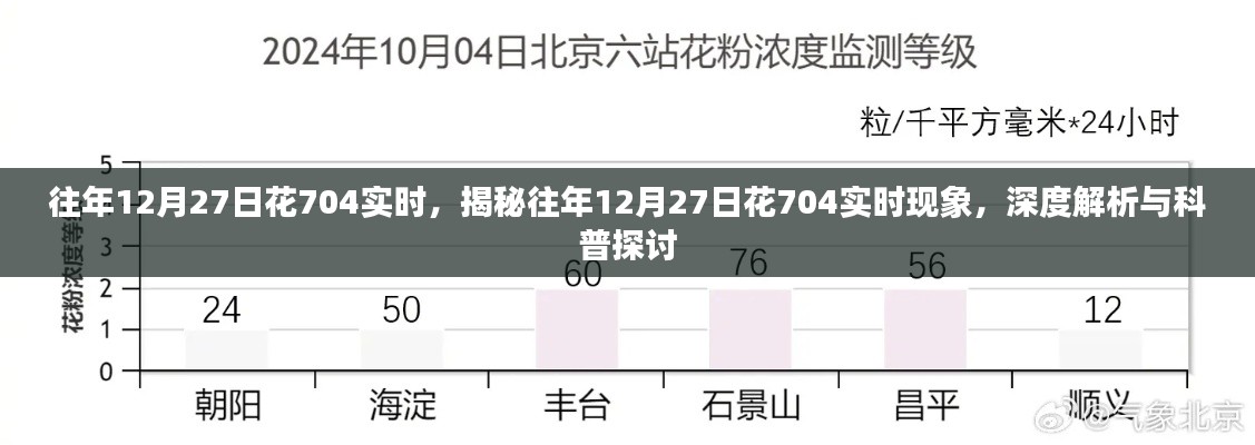 揭秘與深度解析，往年12月27日花704實時現(xiàn)象探討