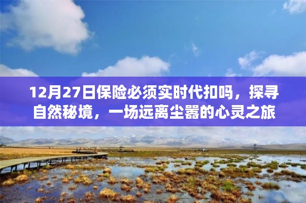 保險(xiǎn)代扣與心靈之旅，探尋自然秘境的遠(yuǎn)離塵囂之旅