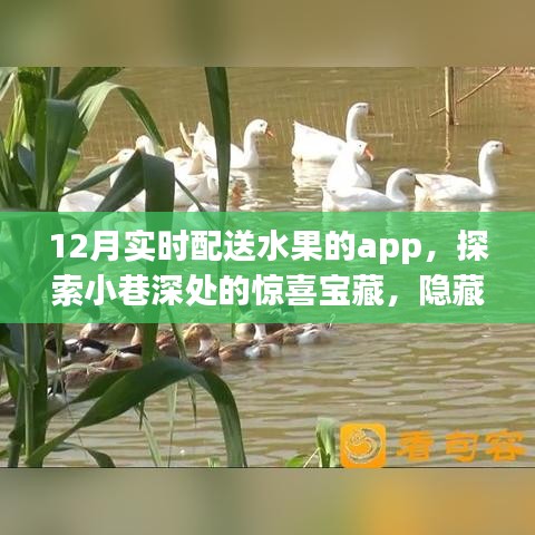 探索小巷深處的鮮果寶藏，12月實(shí)時(shí)配送水果APP驚喜上線