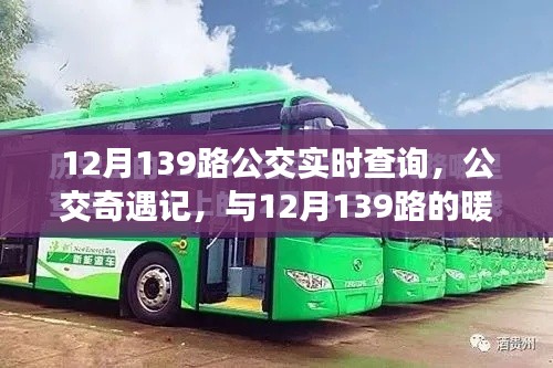 12月139路公交車，暖心之旅的實(shí)時(shí)奇遇記