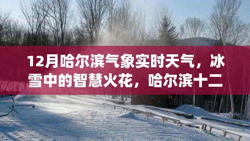 哈爾濱十二月冰雪智慧，氣象實(shí)時(shí)觀察與啟示錄