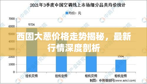 西固大蔥價格走勢揭秘，最新行情深度剖析