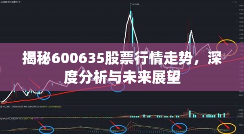 揭秘600635股票行情走勢(shì)，深度分析與未來(lái)展望