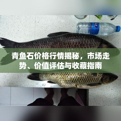 青魚石價格行情揭秘，市場走勢、價值評估與收藏指南