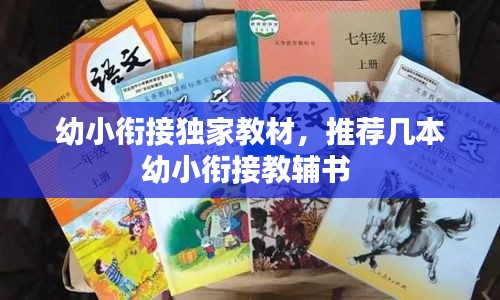 幼小銜接獨(dú)家教材，推薦幾本幼小銜接教輔書 