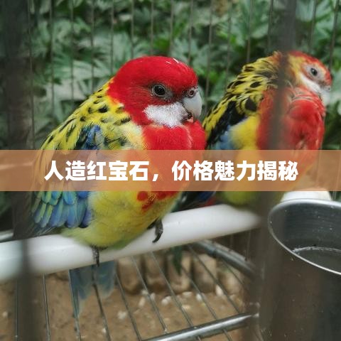 人造紅寶石，價(jià)格魅力揭秘