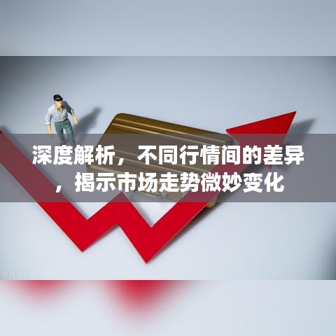 深度解析，不同行情間的差異，揭示市場走勢微妙變化