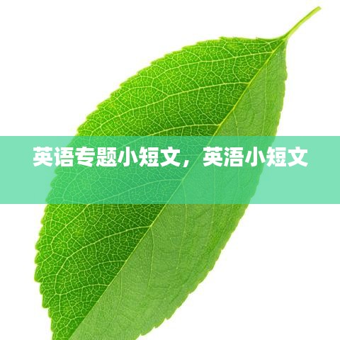 英語專題小短文，英浯小短文 