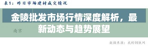 金陵批發(fā)市場行情深度解析，最新動態(tài)與趨勢展望