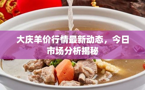 大慶羊價行情最新動態(tài)，今日市場分析揭秘