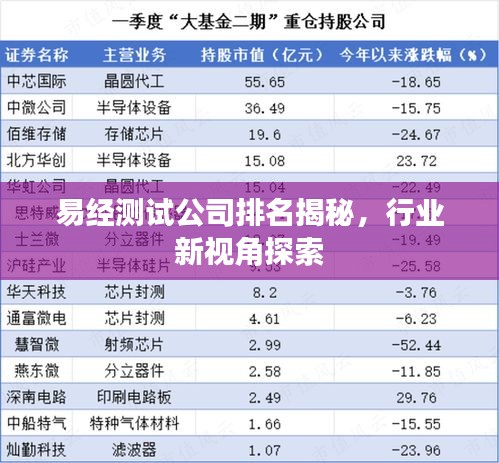 易經(jīng)測(cè)試公司排名揭秘，行業(yè)新視角探索