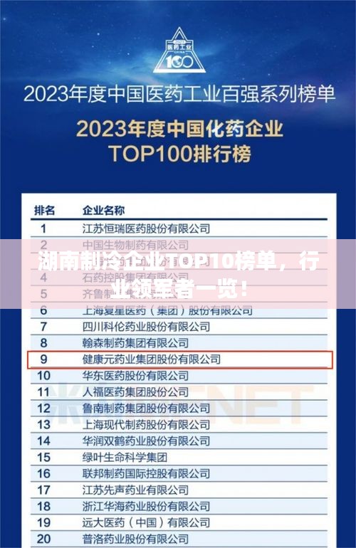 湖南制冷企業(yè)TOP10榜單，行業(yè)領(lǐng)軍者一覽！