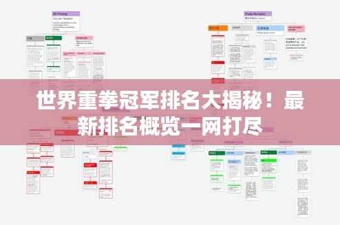 世界重拳冠軍排名大揭秘！最新排名概覽一網(wǎng)打盡