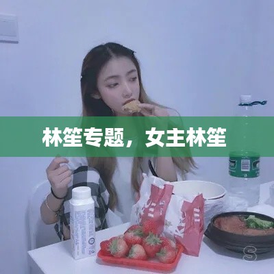 林笙專題，女主林笙 