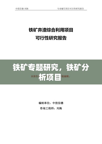 鐵礦專題研究，鐵礦分析項目 