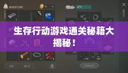 生存行動游戲通關秘籍大揭秘！