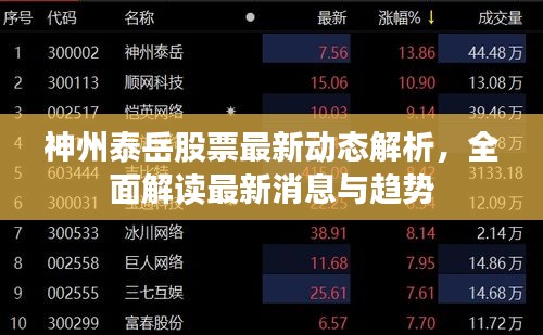神州泰岳股票最新動態(tài)解析，全面解讀最新消息與趨勢