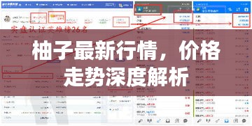 柚子最新行情，價格走勢深度解析