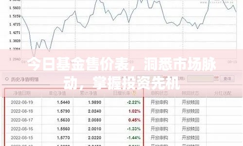 今日基金售價表，洞悉市場脈動，掌握投資先機