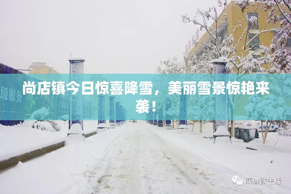 尚店鎮(zhèn)今日驚喜降雪，美麗雪景驚艷來襲！