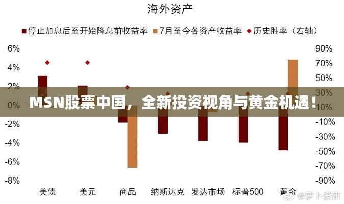 MSN股票中國(guó)，全新投資視角與黃金機(jī)遇！