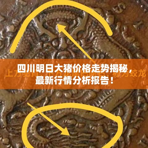 四川明日大豬價(jià)格走勢揭秘，最新行情分析報(bào)告！