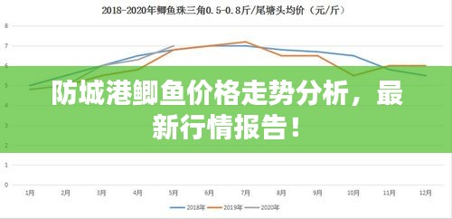 防城港鯽魚價格走勢分析，最新行情報告！