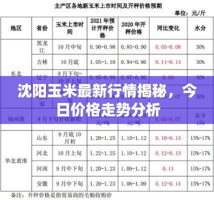 沈陽玉米最新行情揭秘，今日價格走勢分析