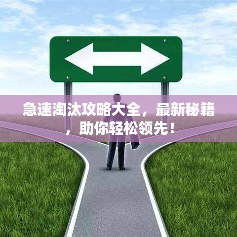 急速淘汰攻略大全，最新秘籍，助你輕松領(lǐng)先！