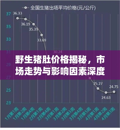 野生豬肚價格揭秘，市場走勢與影響因素深度解析