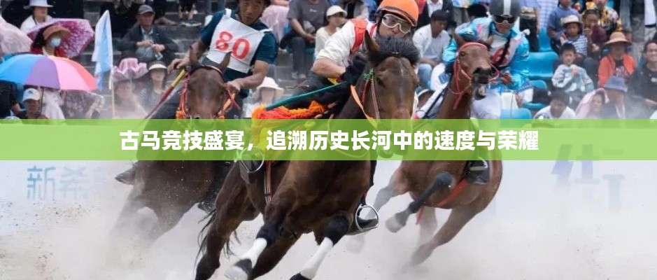 古馬競技盛宴，追溯歷史長河中的速度與榮耀