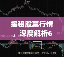 揭秘股票行情，深度解析600761走勢(shì)