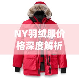 NY羽絨服價(jià)格深度解析，了解真實(shí)價(jià)格，選購更明智！