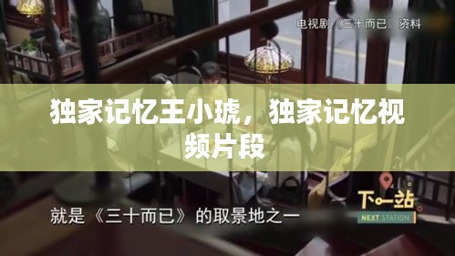 獨家記憶王小琥，獨家記憶視頻片段 