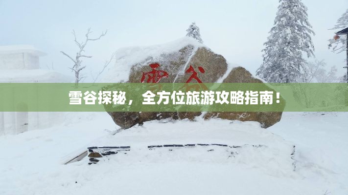 雪谷探秘，全方位旅游攻略指南！