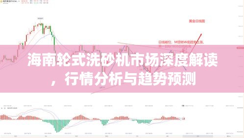 海南輪式洗砂機(jī)市場深度解讀，行情分析與趨勢預(yù)測