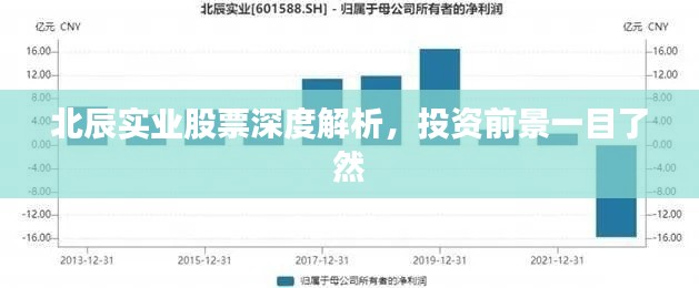 北辰實(shí)業(yè)股票深度解析，投資前景一目了然