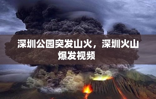 深圳公園突發(fā)山火，深圳火山爆發(fā)視頻 