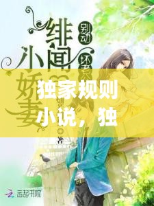 獨家規(guī)則小說，獨家jiyi 